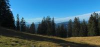 2015-10-03_Graskoepfel_(465) - 2015-10-03_Graskoepfel_(466).JPG